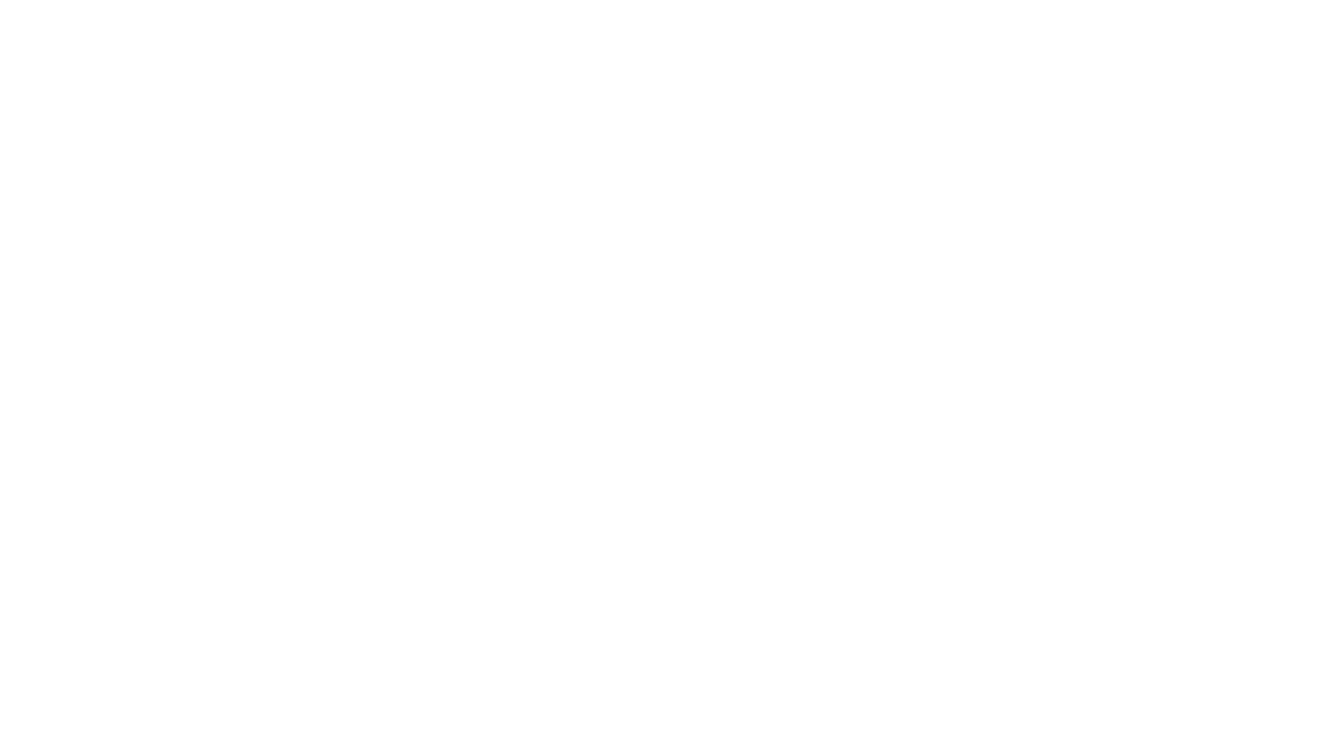 Linus Piur Logo